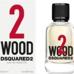 DISQUARD ME WOOD FOR HIM 2